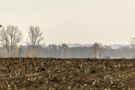 Late autumn. Mown corn field.The remains of the stems on the stubble.Trees and forest in fog on the horizon .Site about agriculture.Podlaskie,Poland.の写真素材