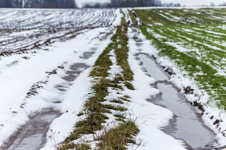 On the country road between arable land and meadow, there is some snow.Puddles on the road.Forest in the background.The beginning of winter in Europe.の写真素材