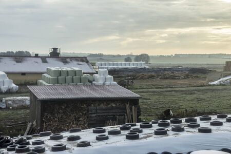 Early morning . Cylindrical silo bales and silo pits stacked in a pyramid. Against the background of...