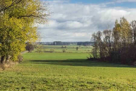 Late autumn. Green pasture. Shadows from trees on short grass. The forest  and filds in the background. Podlasie, Poland.の写真素材
