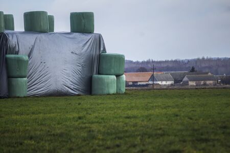 Bales of silo in a blue membrane  and laid on the field in a high pyramid. Close up.  Late autumn in Europe after harvesting.の写真素材