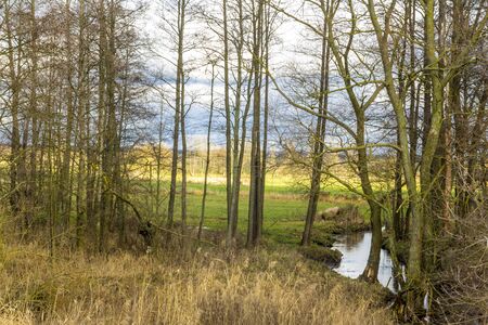 A stream flowing through the forest and meadows. Site about agriculture, seasons, nature. Central Europe .の写真素材