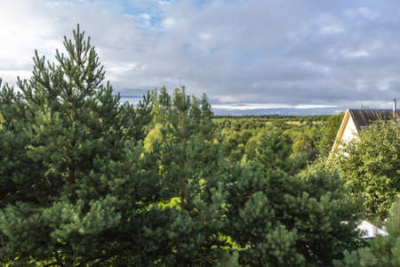 Summer in the village. Early morning. Scenic view of the sky and trees. Roof of a country house among thickets.の写真素材