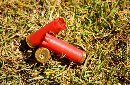 Used fired shells empty red shot gun  bullet cartridges on grass backgroundの写真素材