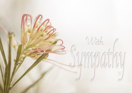 Sympathy card with Australian Grevillea flower in soft pastel colors and text for sorrow, funeral, remembrance, greeting, departure, loss, or sad messageの写真素材