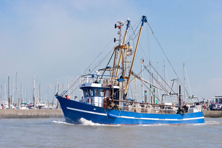 Crabber on seaの写真素材