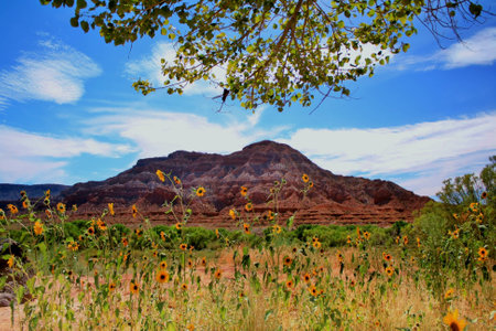 Nevadaの写真素材