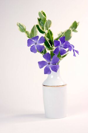 Still life computer generated image of purple flowers in a white vaseの写真素材
