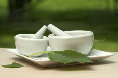 Small and large mortar and pestles on ceramic dish with leaves.の写真素材