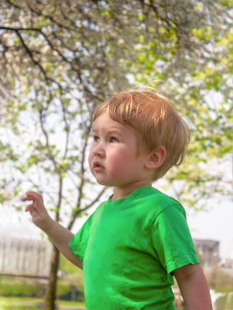The little boy looks up at the flowering fruit trees, reviving after a winter sleep.の写真素材