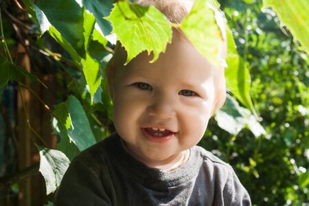 Closeup portrait of a little boy in leaves of decorative grapes on fresh autumn air. A child smiles...