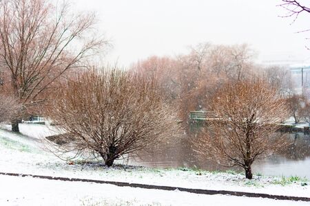 Snow-covered landscapes of a winter park. Beautiful view of the city square on a winter cloudy day.