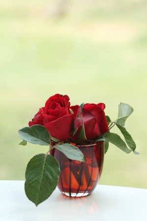 red roses in glass on white tableの写真素材