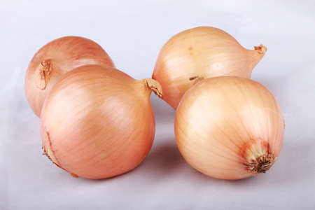 four onions on white backgroundの写真素材