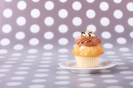 cupcake sprinkes with cocolate and almond on dot backgroundの写真素材