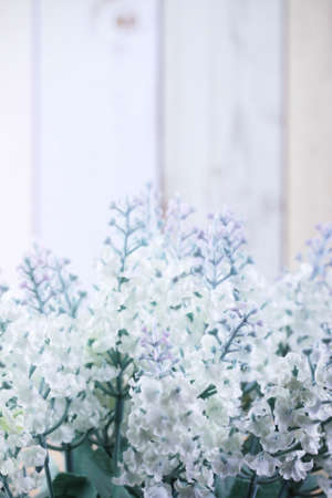 Vintage photo of  flower in springの写真素材