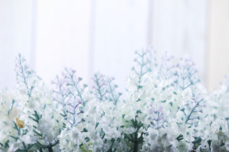 Vintage photo of  flower in springの写真素材