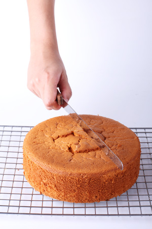 A knife being held by womans hand to cut the cakeの写真素材