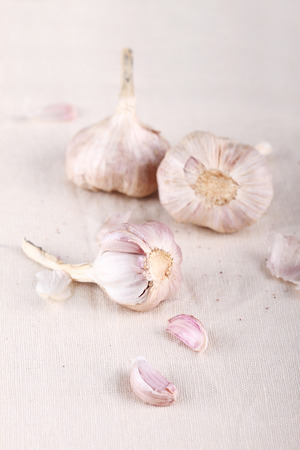 whole and split fresh garlic on fabric backgroundの写真素材