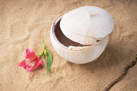 coconut with drinking straw on sand