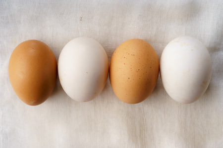 Fresh chicken eggs and duck eggs,brown and white color alternatingの写真素材