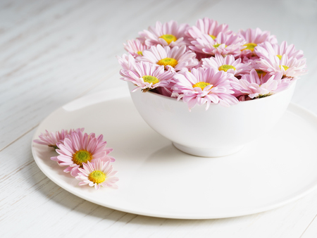 pink chrysanthemum flowers with yellow pollen on plate, sweet and love dinning concept.の写真素材