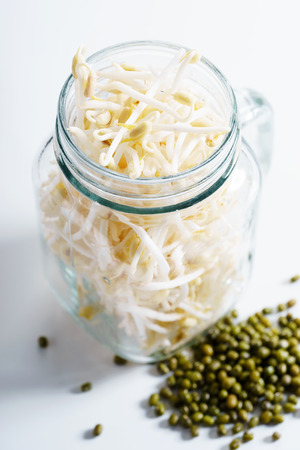 Bean sprouts, raw food, in glass jarの写真素材