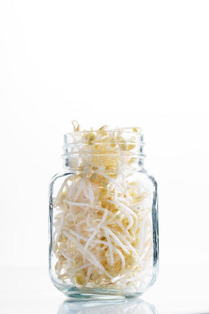 Bean sprouts, raw food, in glass jarの写真素材