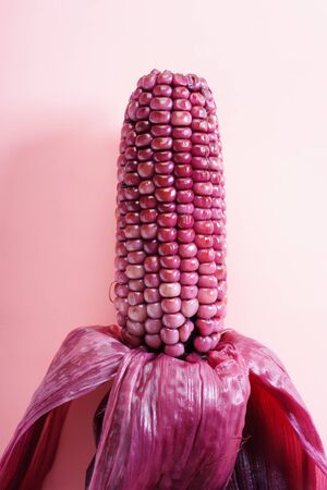 sweet purple corn or purple maize on color backgroundの写真素材