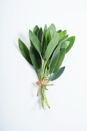 bunch of  sage leaves on background, top viewの写真素材