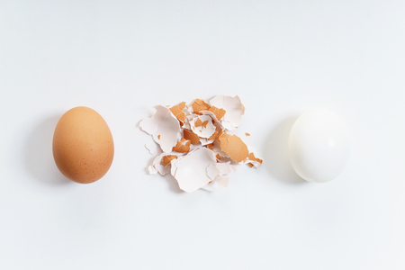 cooked egg
