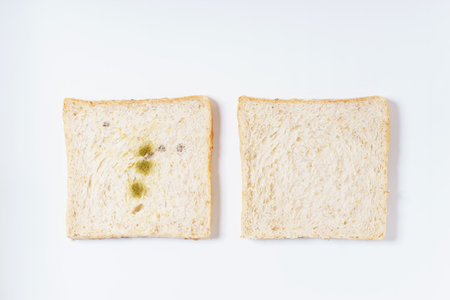 Mold on white bread, top viewの写真素材