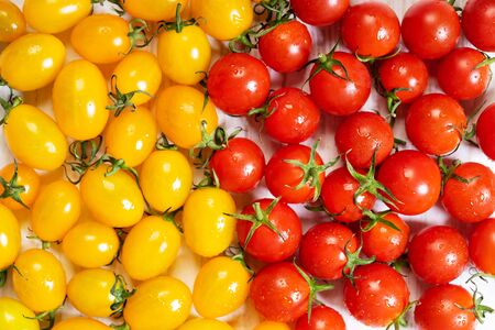 fresh red and yellow tomatoes on white wooden background, top view. Two colors concept.の写真素材