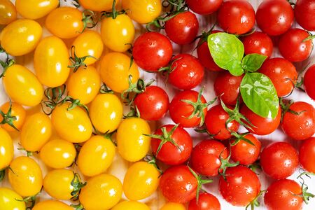 fresh red and yellow tomatoes on white wooden background, top view. Two colors concept.の写真素材