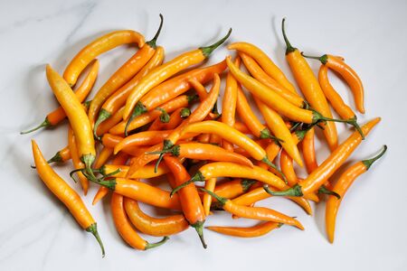 Chili peppers on white background, top viewの写真素材