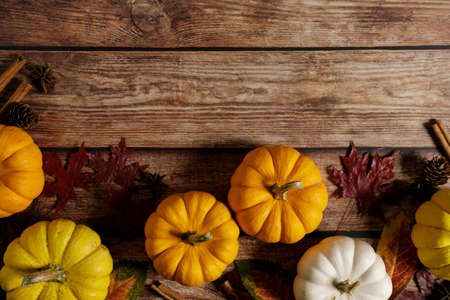 Autumn thanksgiving background with fancy pumpkins on vintage wooden table. Top view, Copy space.の写真素材