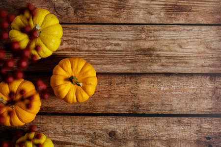 Autumn thanksgiving background with fancy pumpkins on vintage wooden table. Top view, Copy space.