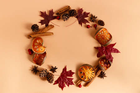 Autumn background with round frame of leaves and dried fruits on color background.の写真素材
