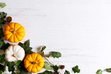 Autumn thanksgiving background with fancy pumpkins and green leaves on white wooden table. Top view, Copy space.の写真素材