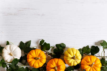 Autumn thanksgiving background with fancy pumpkins and green leaves on white wooden table. Top view,...