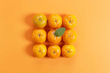 fresh oranges,on orange color paper background, arrange in square pattern. top view.の写真素材