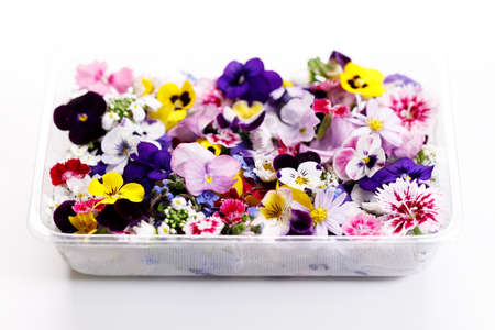 Colorful edible Flowers,healthy organic food concept. Closeup.の写真素材