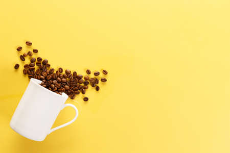 Coffee bean with white cupの写真素材