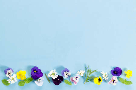 Colorful edible flowersの写真素材