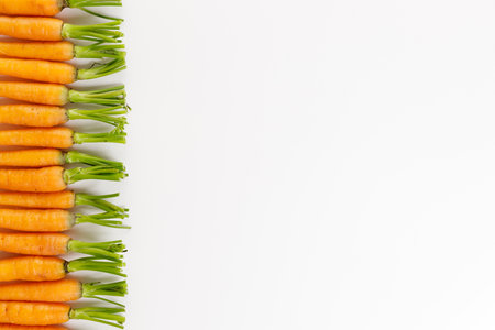 Fresh baby carrots line up on white background.の写真素材