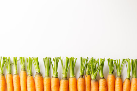 Fresh baby carrots line up on white background.の写真素材