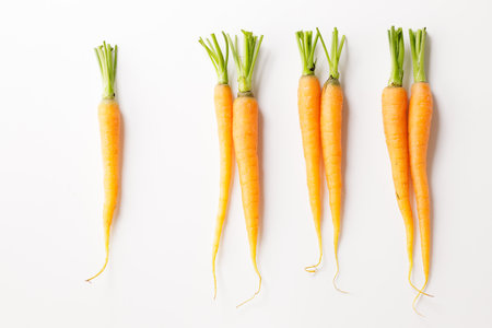 Fresh baby carrots line up on white background.の写真素材