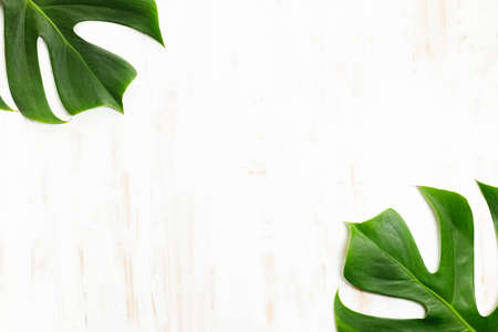 Tropical leaves monstera on a wooden table background. Top view with copy space. Minimal summer background.の写真素材