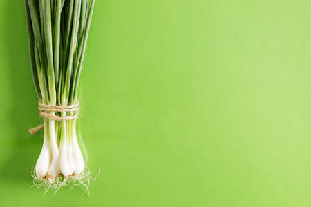 freshness spring green onions on green paper backgroundの写真素材