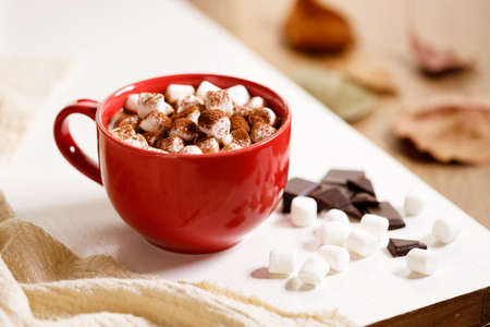 Hot chocolate in red cup with tiny marshmallow and chocolate pieces on wooden table background.の写真素材